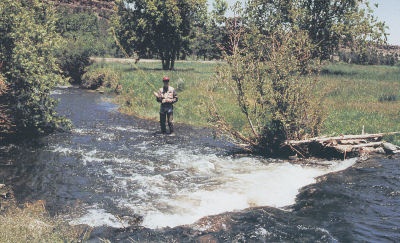 Little Colorado River - LCR near Tusayan